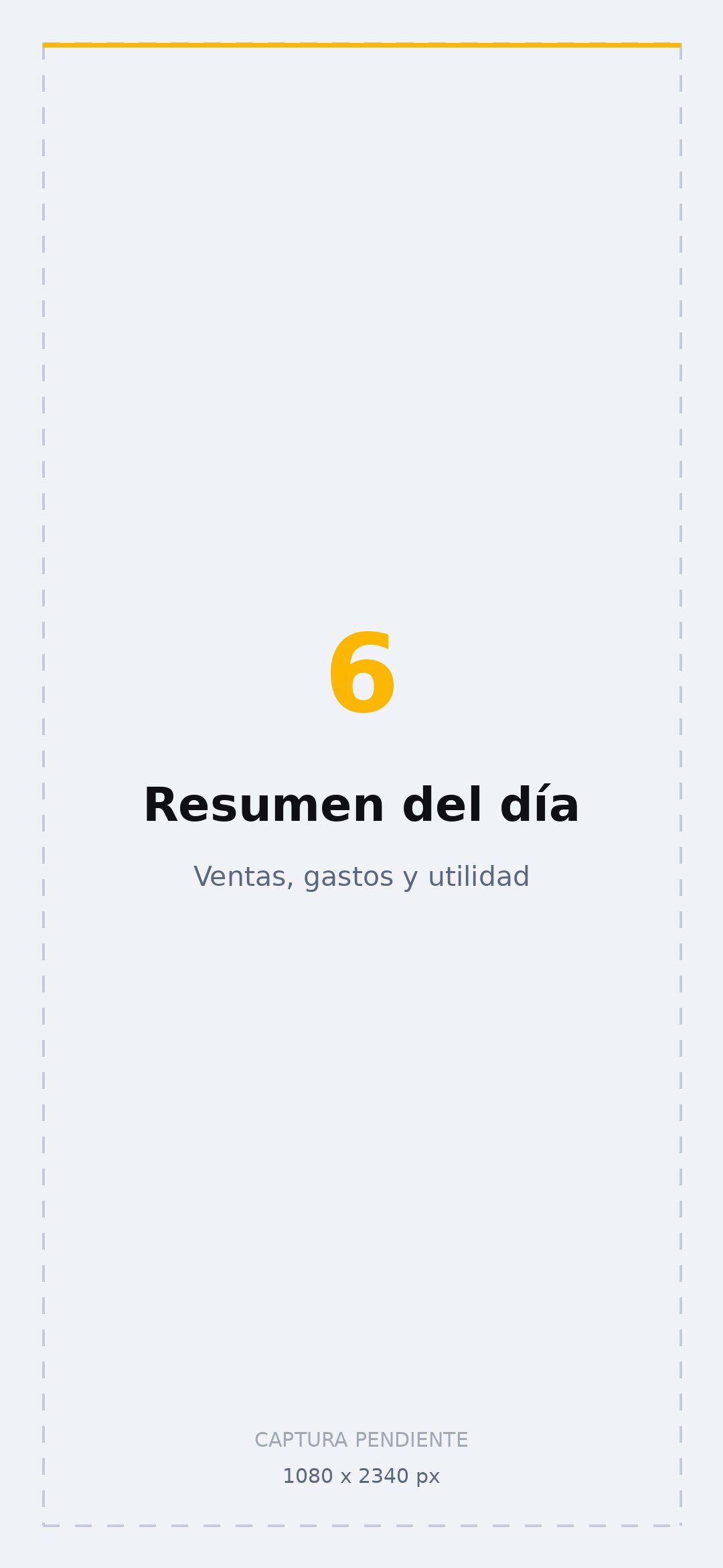Pantalla de ElVendedor: Resumen del día