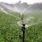 Agricultura