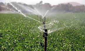 Agricultura